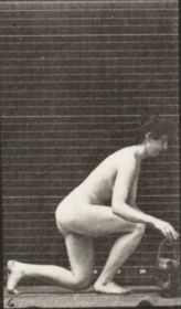 Plate 251 Kneeling on left knee with a basket in left hand and rising — figure reference